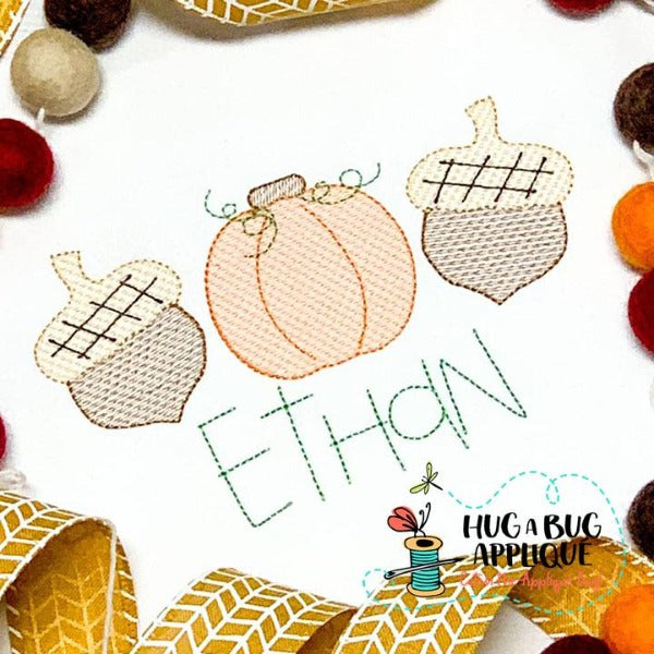 Acorn Pumpkin Trio Sketch Stitch Embroidery Design, Embroidery